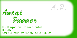 antal pummer business card